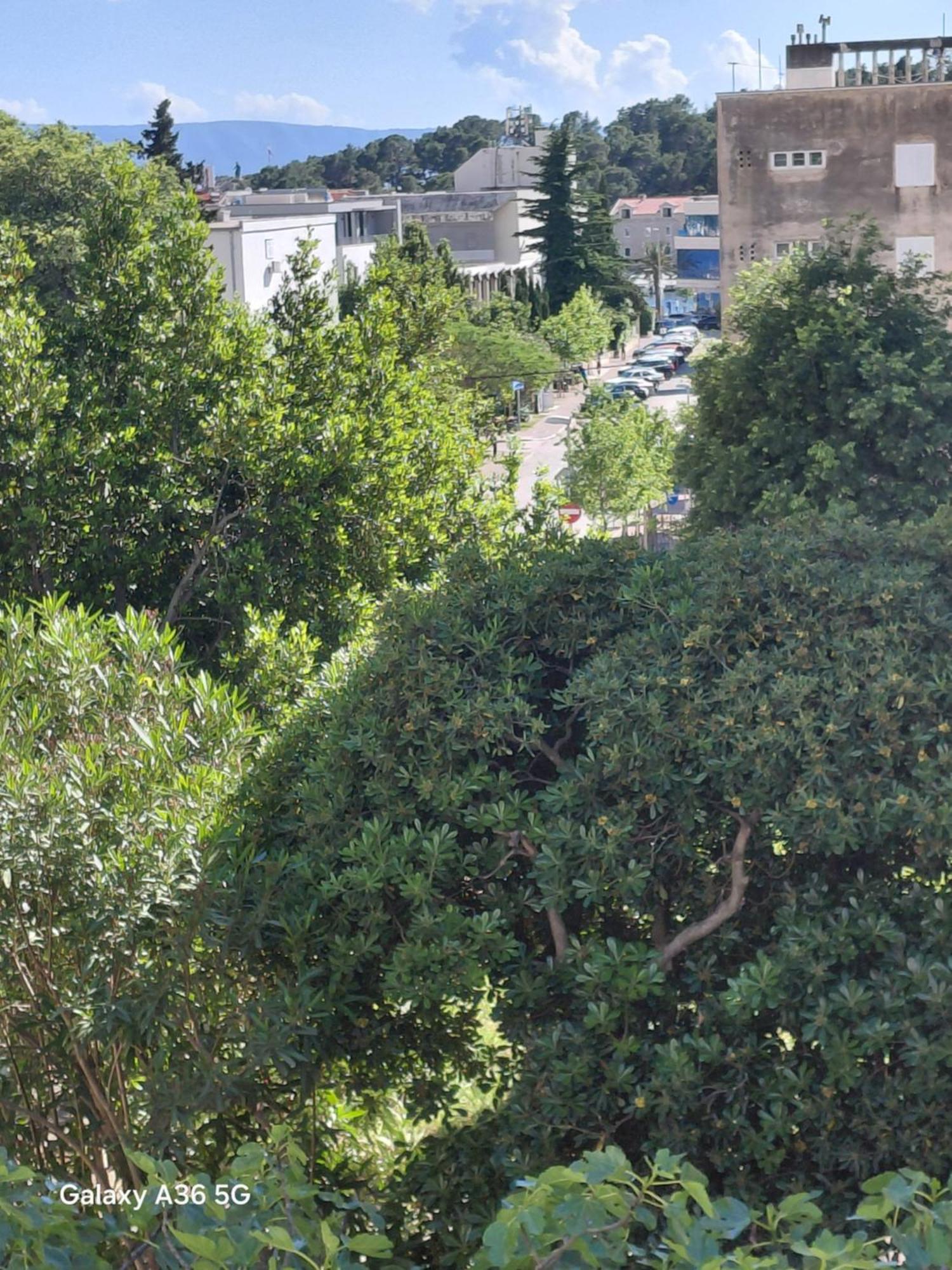 Ribarevic Apartmán Makarska